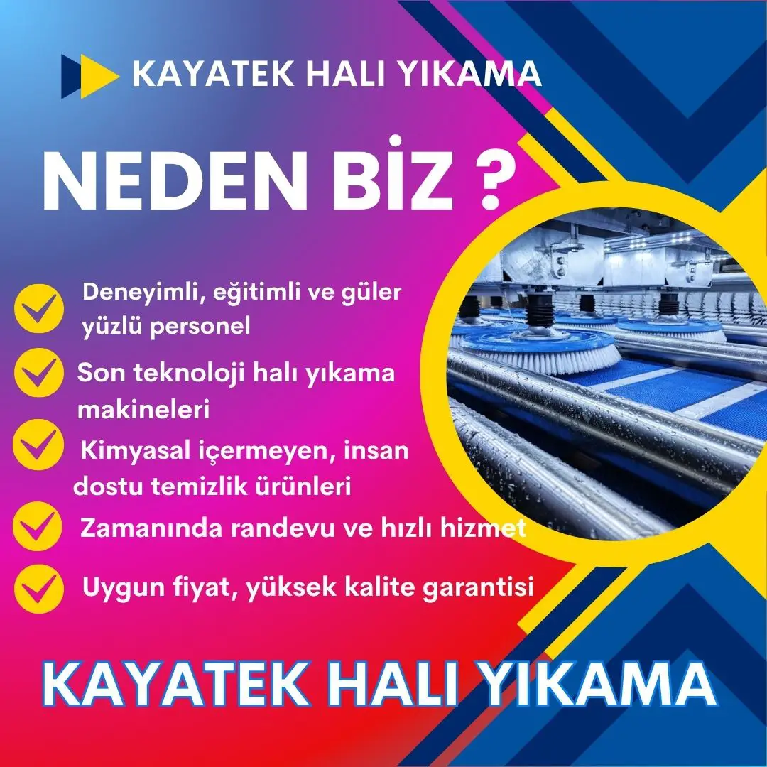 Neden Biz?